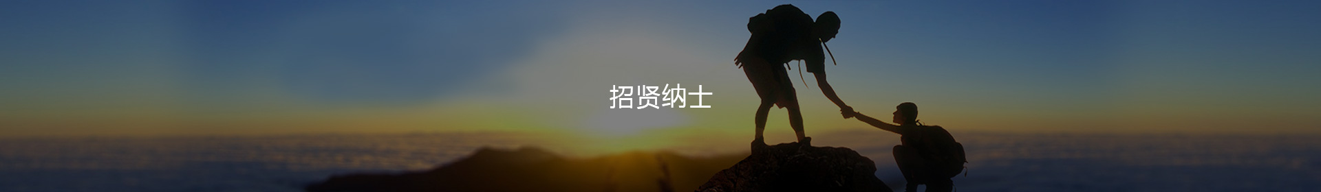 快盈viii